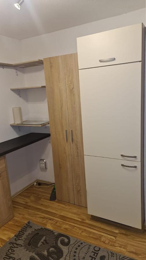Apartment Rheintal Im Alpenvorland Batschuns Buitenkant foto