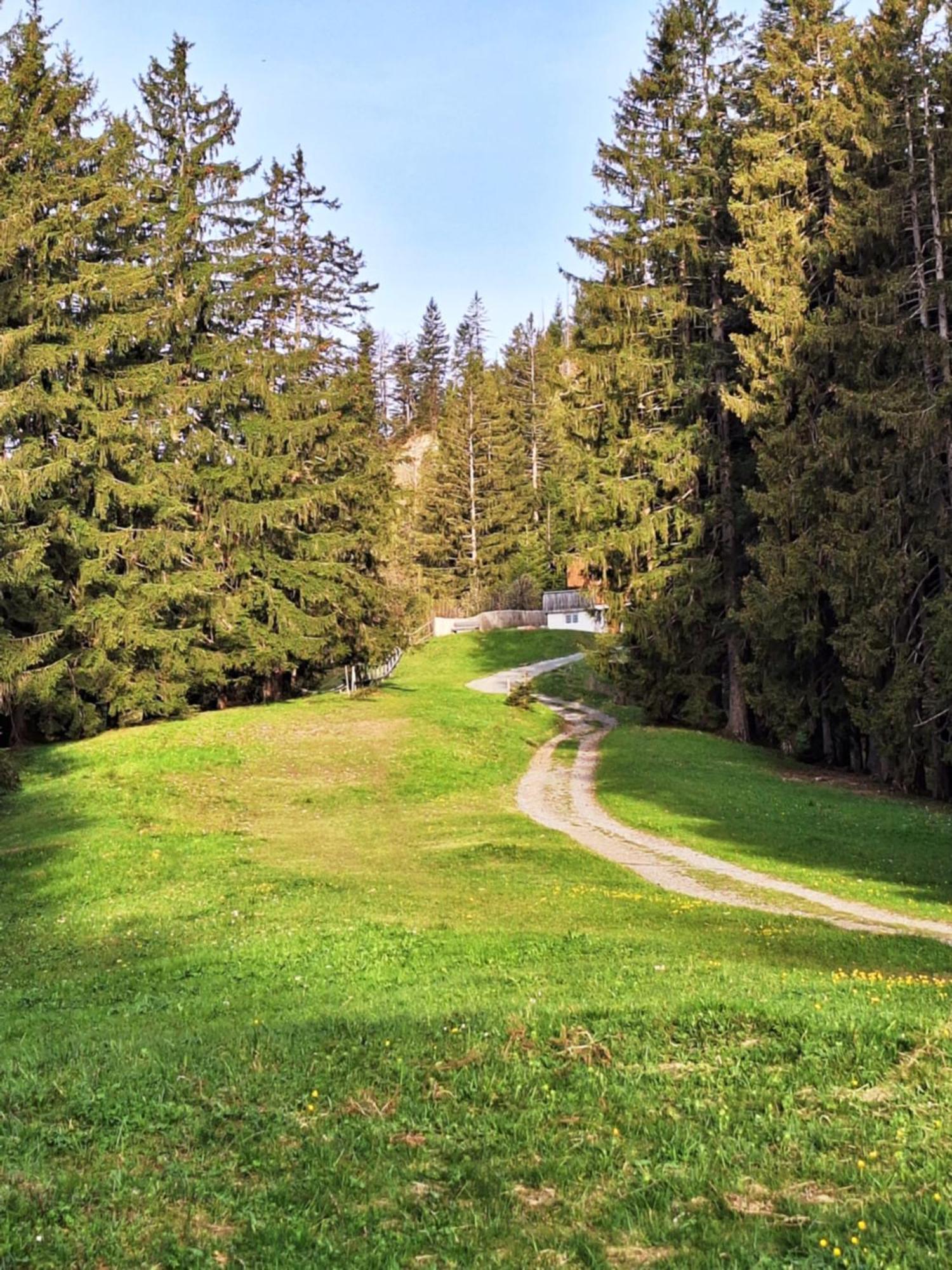 Apartment Rheintal Im Alpenvorland Batschuns Buitenkant foto