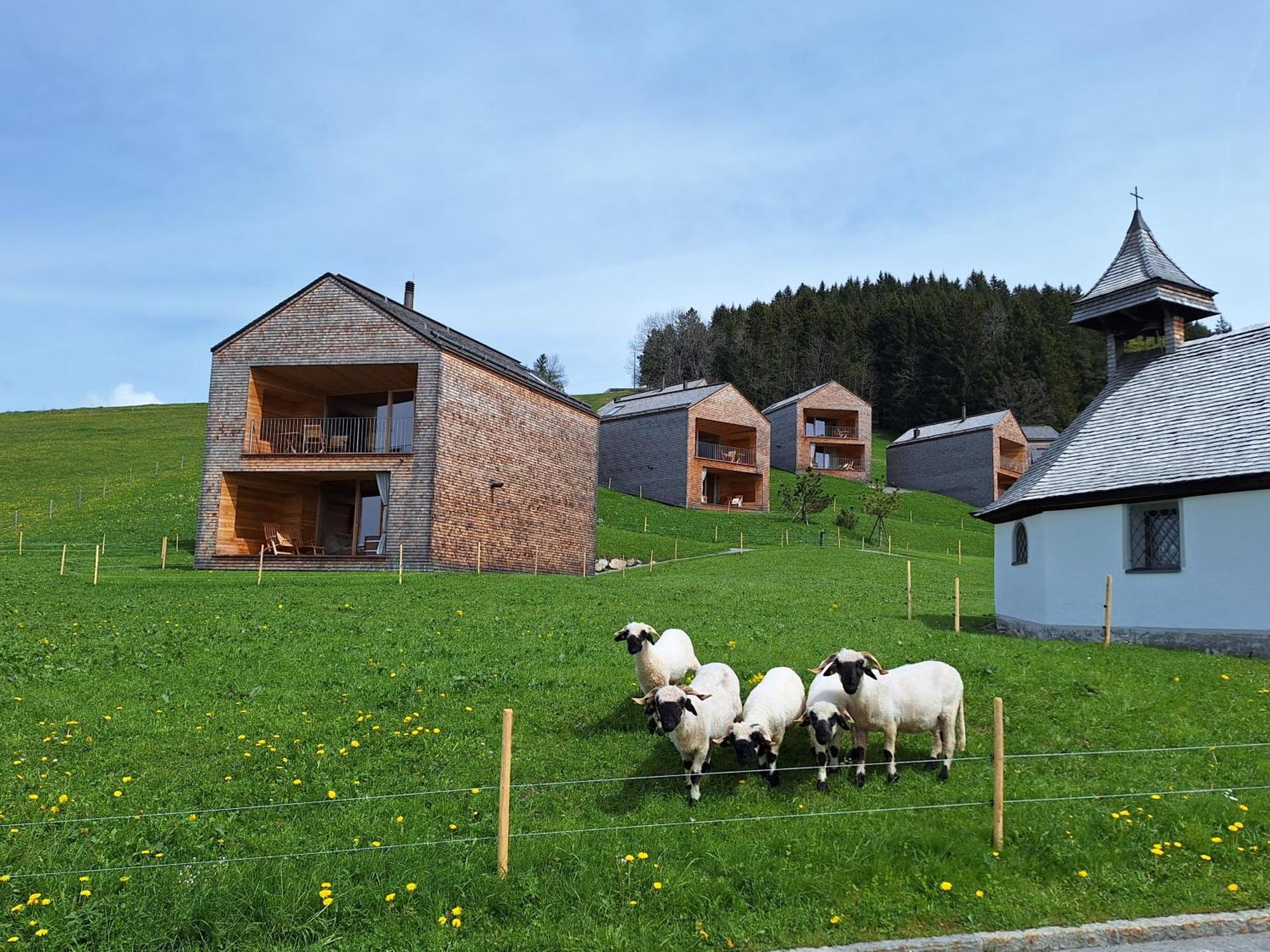 Apartment Rheintal Im Alpenvorland Batschuns Buitenkant foto