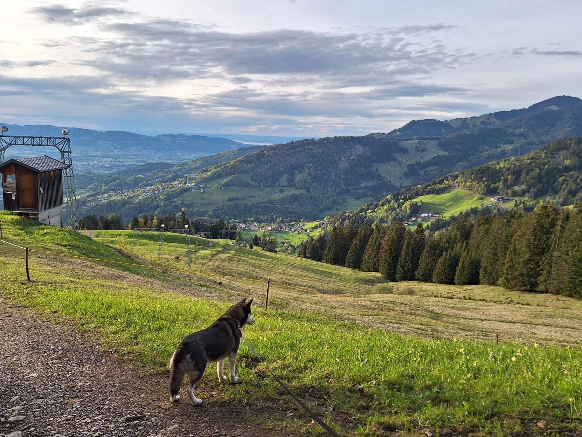 Apartment Rheintal Im Alpenvorland Batschuns Buitenkant foto
