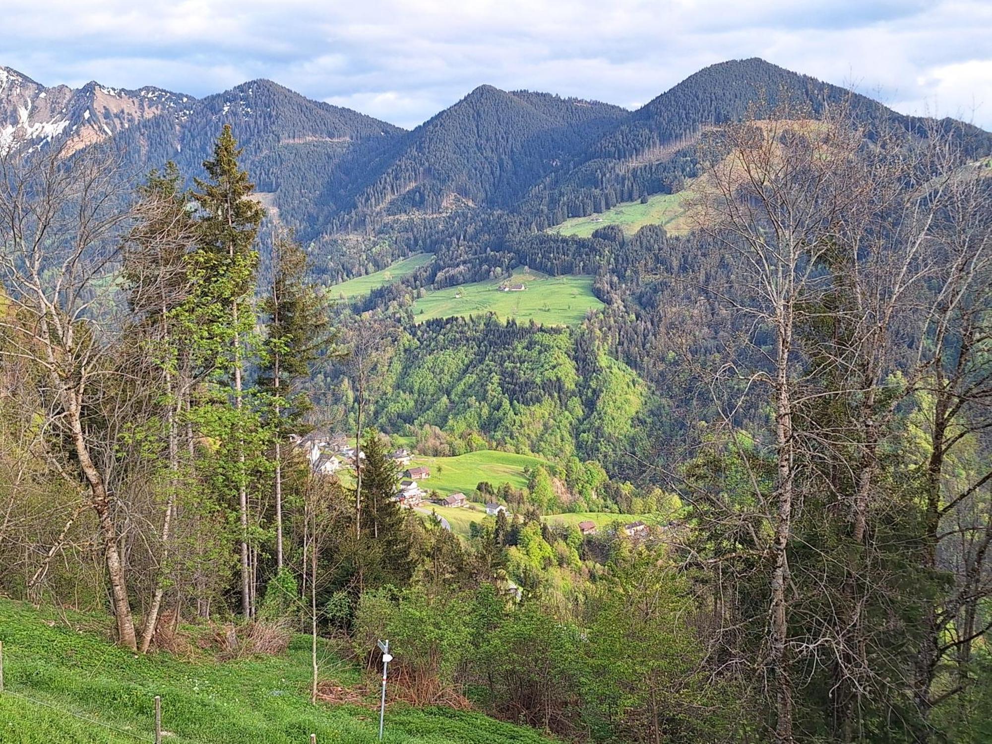 Apartment Rheintal Im Alpenvorland Batschuns Buitenkant foto