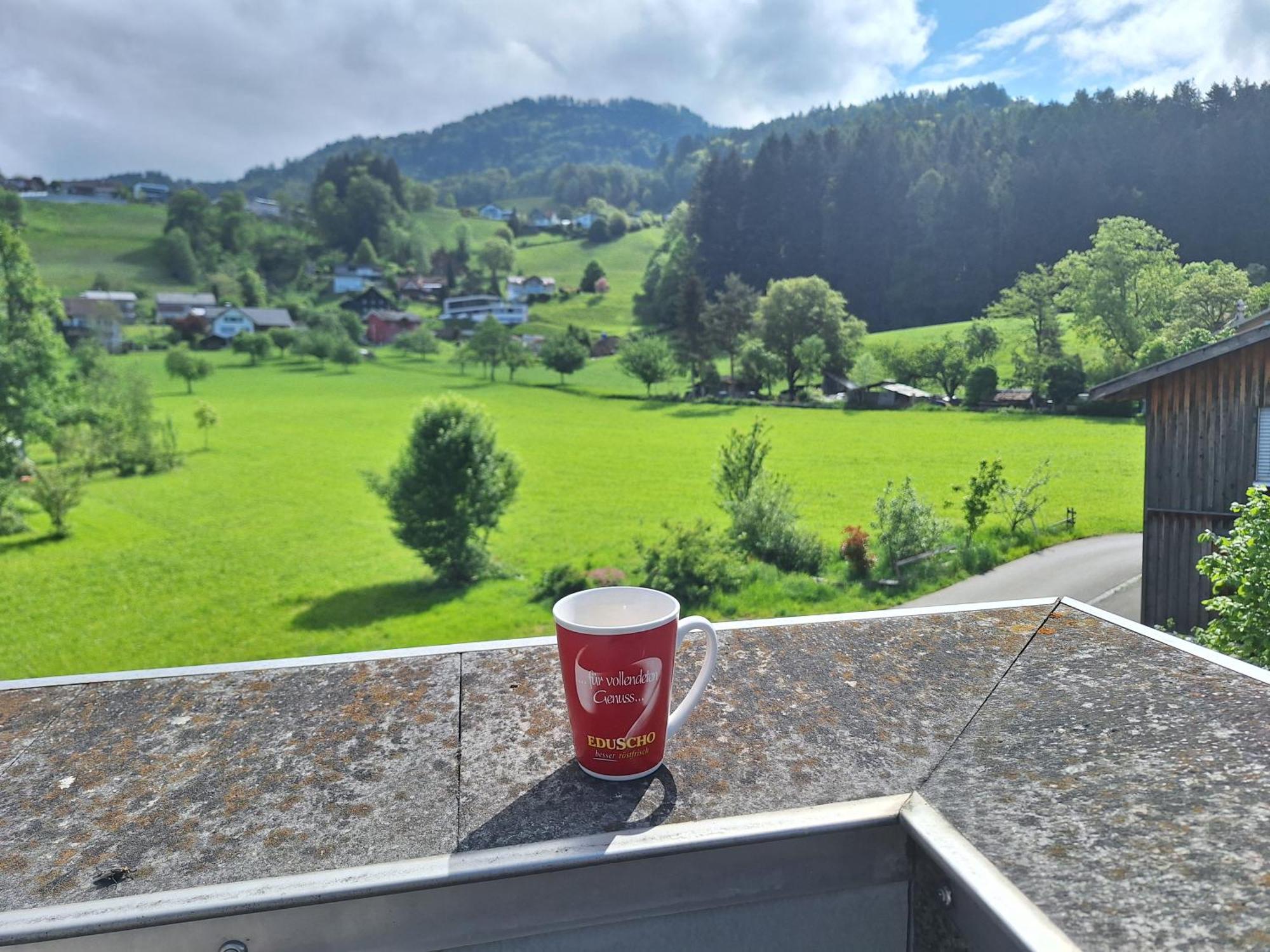 Apartment Rheintal Im Alpenvorland Batschuns Buitenkant foto