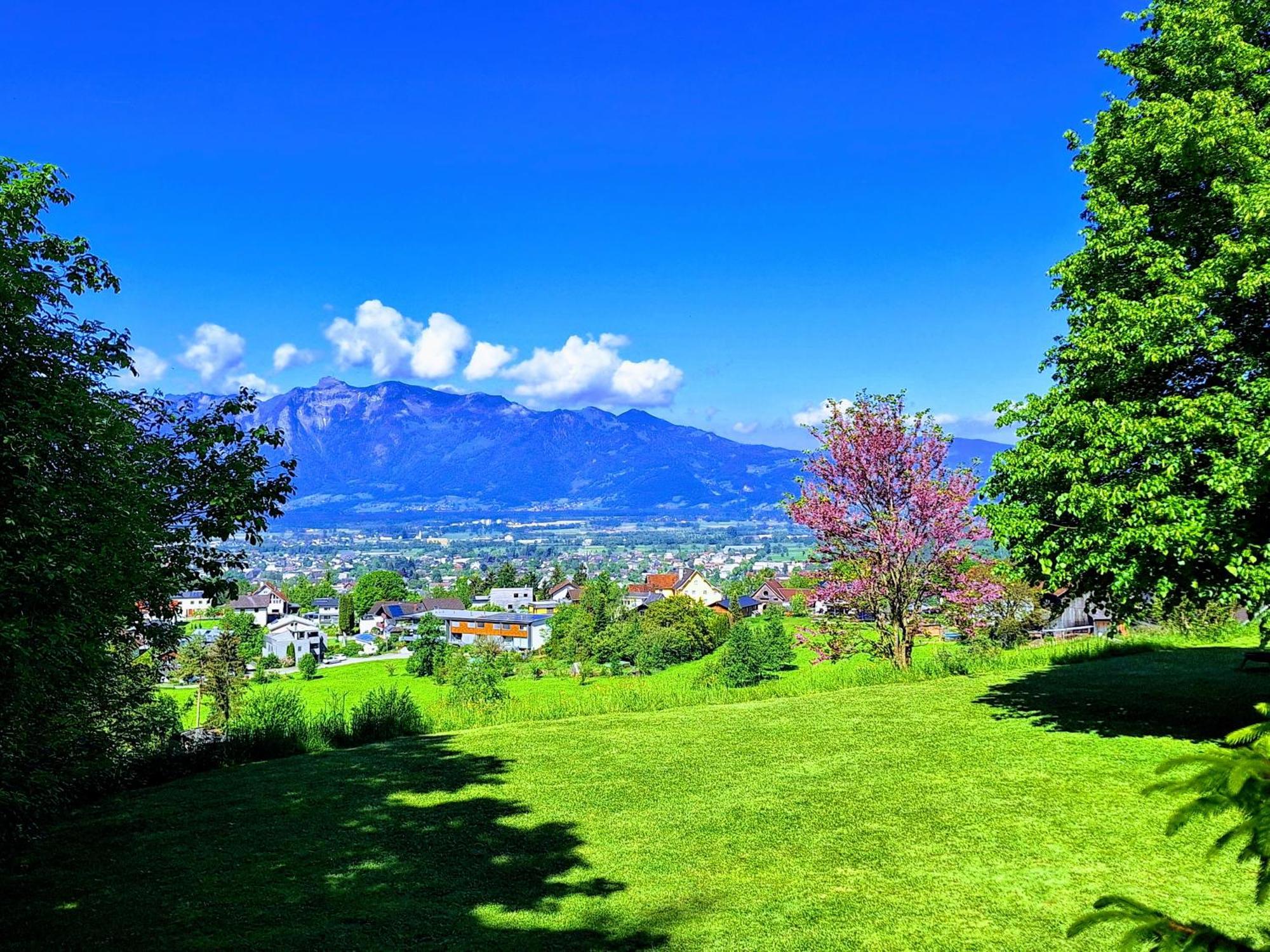 Apartment Rheintal Im Alpenvorland Batschuns Buitenkant foto